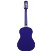 Gypsy Rose GRC1K/CPP classical guitar set