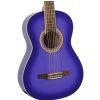 Gypsy Rose GRC1K/CPP classical guitar set