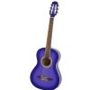 Gypsy Rose GRC1K/CPP classical guitar set