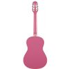 Gypsy Rose GRC1K/CPK classical guitar set