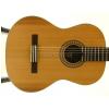Baton Rouge LMCM classical guitar