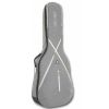 Ritter RGS7-D Steel Grey Moon dreadnought acoustic guitar cover
