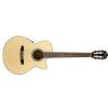 Ibanez AEG10N-ENT classical guitar with EQ