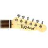 Richwood RE40 SB Teaser Standard electric guitar