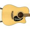 Takamine EG320SC-NS acoustic-electric guitar
