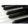 Kawai CA97R Digital Piano