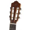 Almansa Study 400 classical guitar