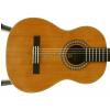 Baton Rouge LMS classical guitar