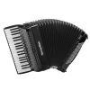 Serenellini Cassotto 374 (2+2) 37/4/11 96/5/5 Piccolo accordion (black)