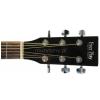EverPlay AP-316 BK acoustic guitar
