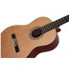 Dowina CL555 classical guitar