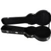 EverPlay F-120 Les Paul guitar case EverPlay F-120 Les Paul guitar case