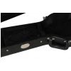 EverPlay F-120 Les Paul guitar case EverPlay F-120 Les Paul guitar case