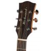 Richwood D-40-CE electric/acoustic guitar