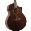 Ibanez AEW40AS NT Electro Acoustic Guitar