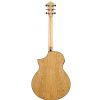Ibanez AEW40AS NT - Electro Acoustic Guitar