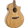 Ibanez AEW40AS NT - Electro Acoustic Guitar