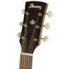 Ibanez AVN2 OPN acoustic guitar Ibanez AVN2 OPN acoustic guitar