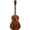 Ibanez AVN2 OPN acoustic guitar Ibanez AVN2 OPN acoustic guitar