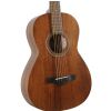 Ibanez AVN2 OPN acoustic guitar Ibanez AVN2 OPN acoustic guitar