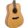 Morrison B1013G acoustic guitar