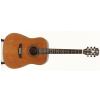 Dowina D555 acoustic guitar