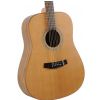 Morrison M3002 BS acoustic guitar