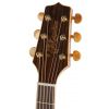 Takamine GD71 electric acoustic guitar