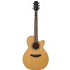 Takamine GN20CE NS acoustic-electric guitar