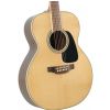 Takamine GN51 NAT acoustic guitar
