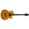 Elypse Naomi acoustic-electric guitar