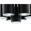 Eurolite LED SVF-1 Flower effect