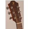 Furch DD20-CM acoustic guitar