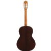 Cuenca 5 Nature classical guitar