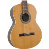 Cuenca 5 Nature classical guitar