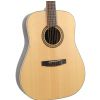 Dowina D-333S acoustic guitar