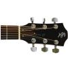 Baton Rouge 11 EQ acoustic-electric guitar