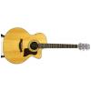 Baton Rouge 35 Cut EQ acoustic-electric guitar