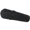 Sandner SV600P 4/4 violin (case, bow)