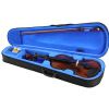 Vienna V100 4/4 violin with case and bow