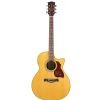 Richwood G-65 CE VA electric acoustic guitar