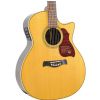 Richwood G-65 CE VA electric acoustic guitar