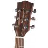 Richwood G-65 CE VA electric acoustic guitar
