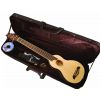 Washburn Rover Travel RO 10 N acoustic guitar with light-case