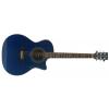 Baton Rouge P4 acoustic-electric guitar