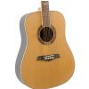 Gilmour Robust acoustic guitar