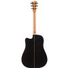 Gilmour Robust EQ CUT electric acoustic guitar