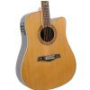 Gilmour Robust EQ CUT electric acoustic guitar