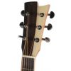 Gilmour Robust EQ CUT electric acoustic guitar