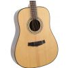 Morrison MM 15D Gloss acoustic guitar